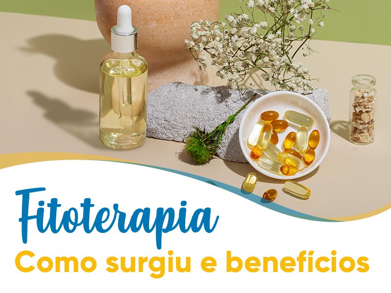 Como surgiu a Fitoterapia? Entenda os benefcios e a cincia das plantas medicinais